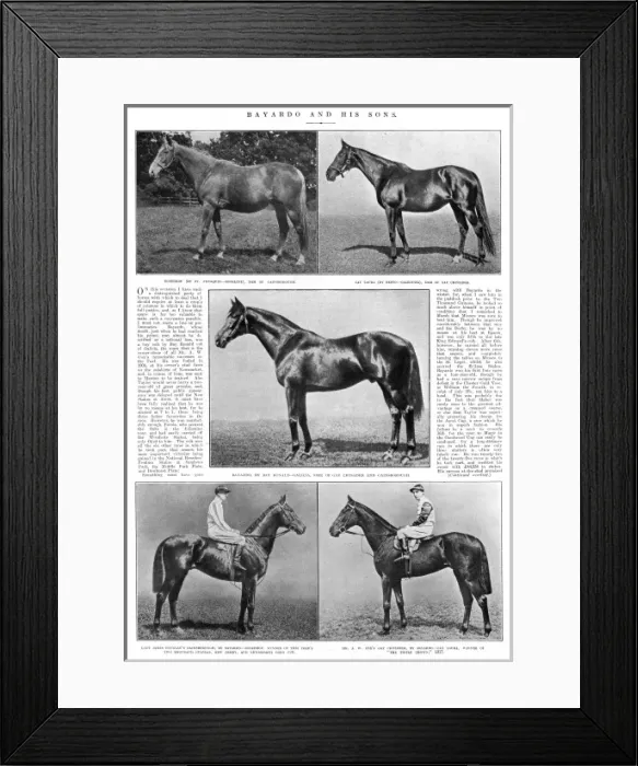 Framed Print : Triple-crown winner, Gainsborough Framed Print : Triple-crown winner, Gainsborough