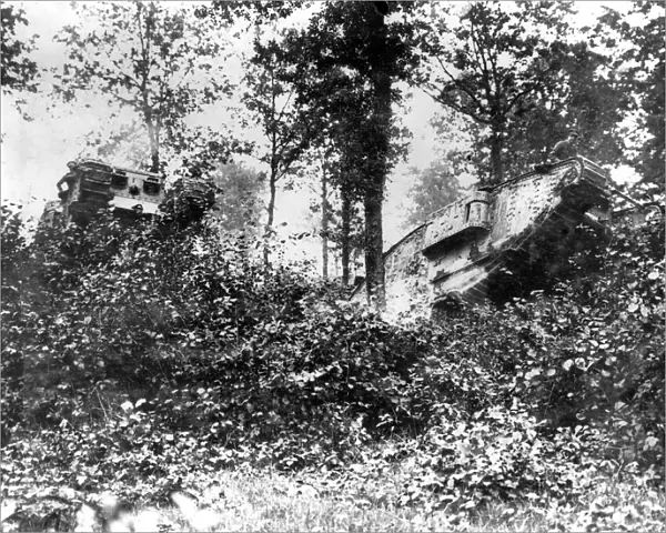 British tanks in Oosthoek Wood, Belgium, WW1