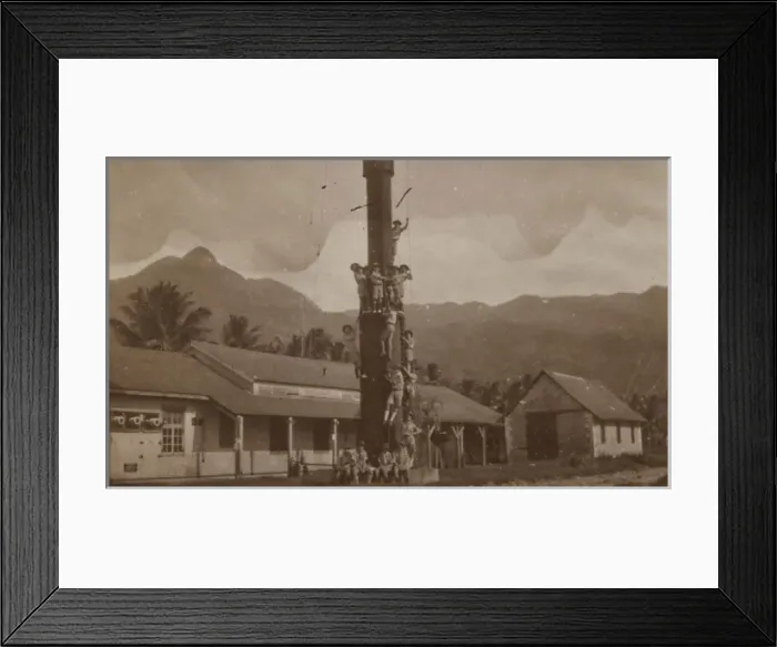 Framed Print : Seychelles Scouts Framed Print : Seychelles Scouts