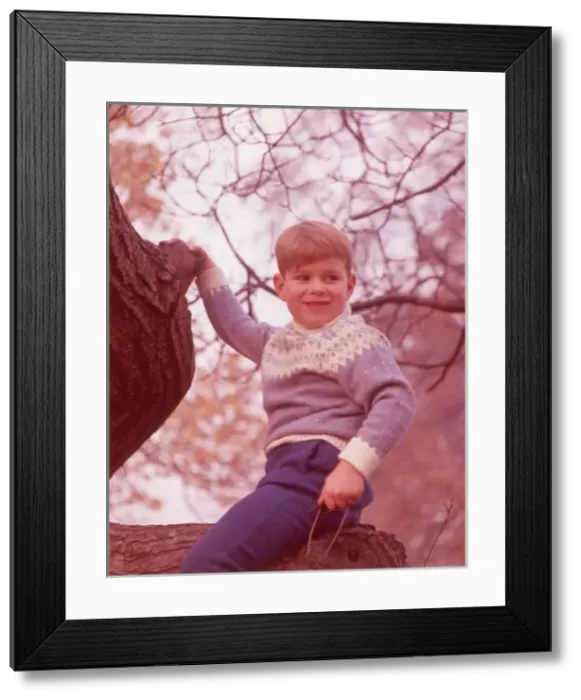 Framed Print : Prince Andrew Framed Print : Prince Andrew
