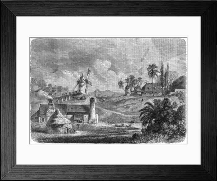 Framed Print : Sugar mill, Guadaloupe, 1850s Framed Print : Sugar mill, Guadaloupe, 1850s
