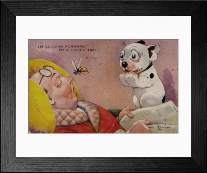 Framed Print : Bonzo watching a wasp / hornet Framed Print : Bonzo watching a wasp / hornet