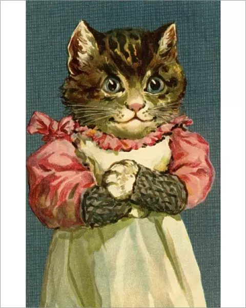 Happy cat by g h Thompson