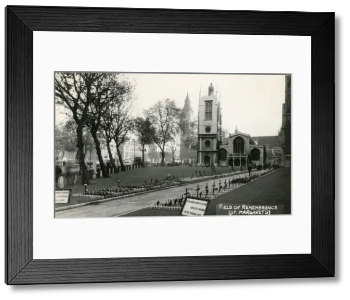 Framed Print : Field of Remembrance, St Margarets, Westminster, London Framed Print : Field of Remembrance, St Margarets, Westminster, London