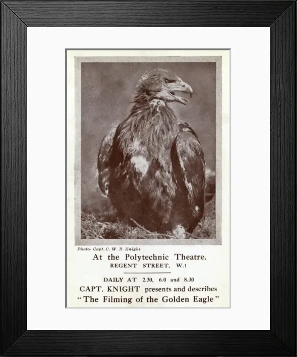 Framed Print : Filming of the Golden Eagle, Polytechnic Theatre, London Framed Print : Filming of the Golden Eagle, Polytechnic Theatre, London