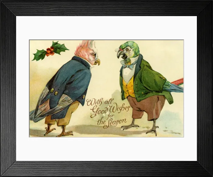 Framed Print : Cockatoos by g h Thompson Framed Print : Cockatoos by g h Thompson