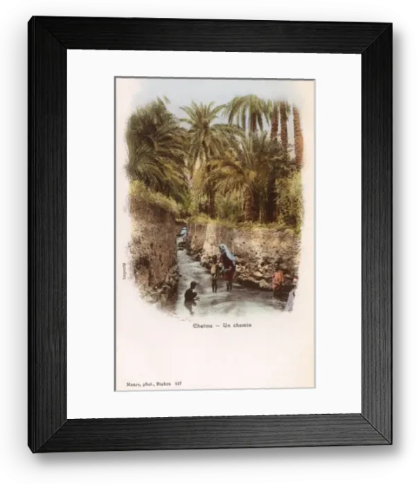 Framed Print : Algeria - Chetma - Waterway Framed Print : Algeria - Chetma - Waterway
