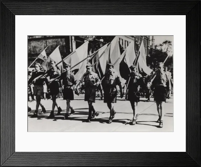Framed Print : Polish Scouts on parade