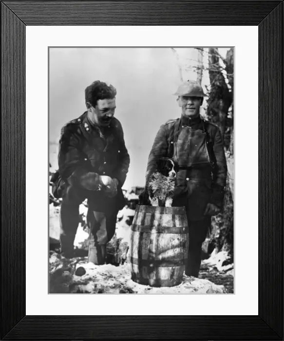 Framed Print : Mascot of Royal Welsh Fusiliers, WW1 Framed Print : Mascot of Royal Welsh Fusiliers, WW1