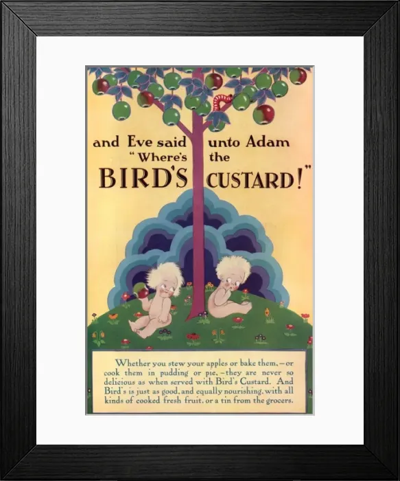 Framed Print : Birds Custard advertisement Framed Print : Birds Custard advertisement