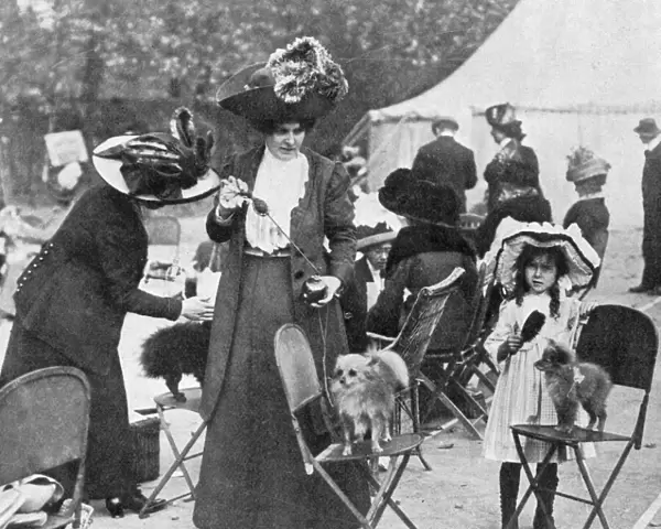 Perfuming probable prizewinners: dog show perfume, 1911
