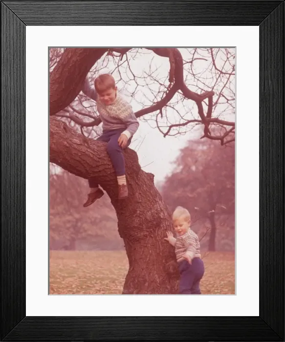 Framed Print : Prince Andrew and Prince Edward Framed Print : Prince Andrew and Prince Edward