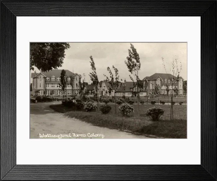 Framed Print : Wallingford Farm Colony Framed Print : Wallingford Farm Colony