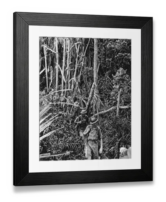 Framed Print : British troops train in Malaya Framed Print : British troops train in Malaya