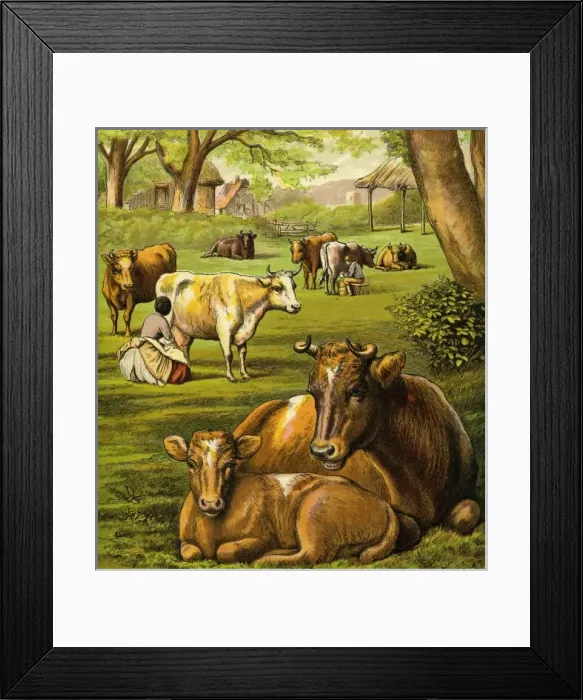 Framed Print : Victorian Farmyard (The cows) Framed Print : Victorian Farmyard (The cows)