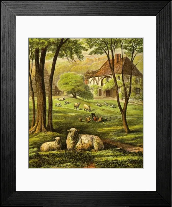 Framed Print : Victorian Farmyard (The farmyard) Framed Print : Victorian Farmyard (The farmyard)