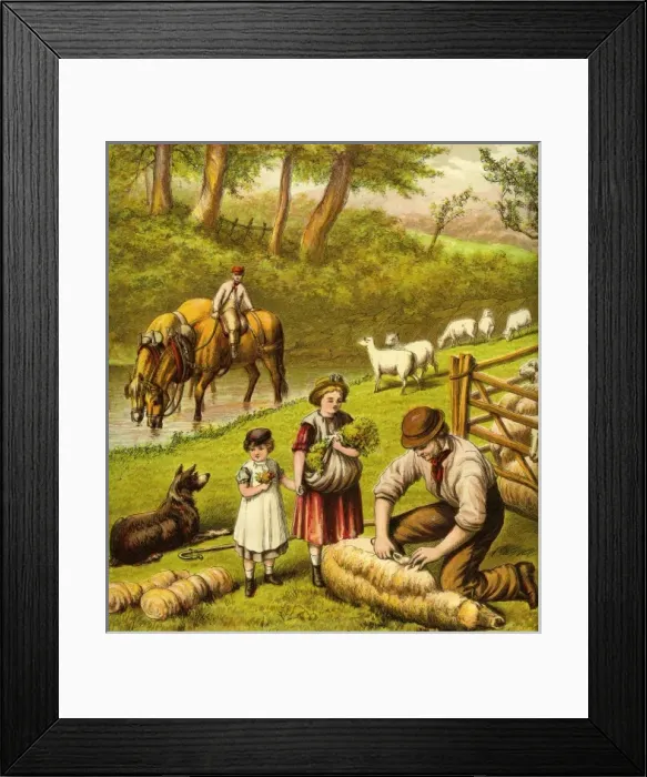 Framed Print : Victorian Farmyard (Sheep shearing) Framed Print : Victorian Farmyard (Sheep shearing)