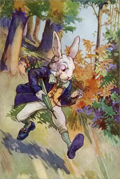 Alice in Wonderland by Kay Nixon