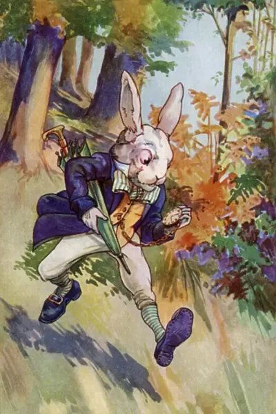 Alice in Wonderland by Kay Nixon