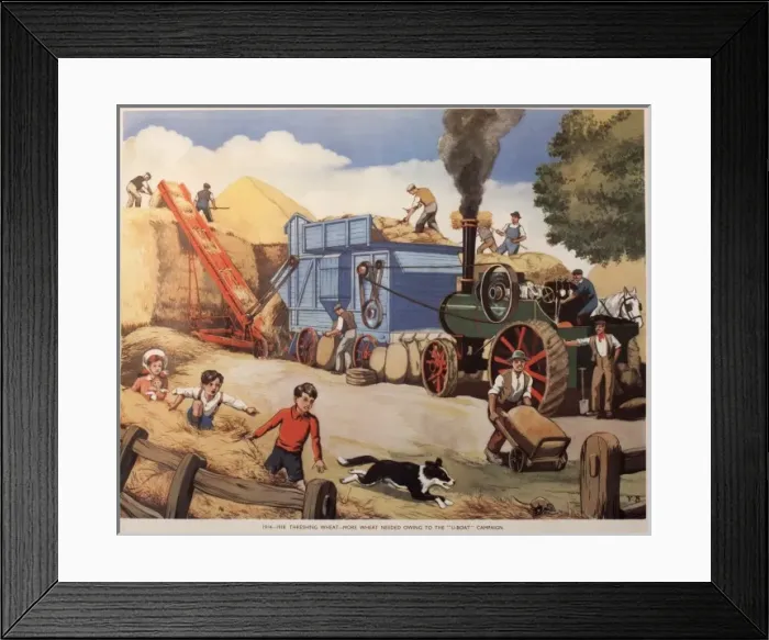 Framed Print : Threshing wheat during the First World War Framed Print : Threshing wheat during the First World War