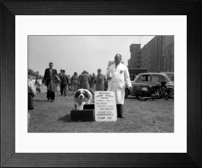 Framed Print : Epsom Derby - 1954 Framed Print : Epsom Derby - 1954