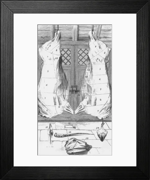 Framed Print : Beef cuts, 1857 Framed Print : Beef cuts, 1857