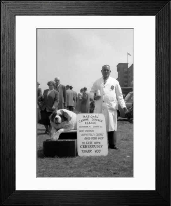 Framed Print : Epsom Derby - 1954