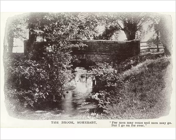 Bridge over the Brook - Somersby