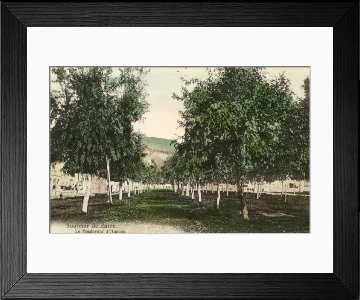 Framed Print : Zakynthos, Greece - The Boulevard d Ammos Framed Print : Zakynthos, Greece - The Boulevard d Ammos