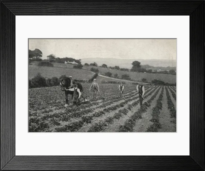 Framed Print : National Childrens Home Frodsham Branch Framed Print : National Childrens Home Frodsham Branch