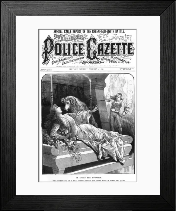 Framed Print : Pet dog interrupts Romeo and Juliet theatre production Framed Print : Pet dog interrupts Romeo and Juliet theatre production