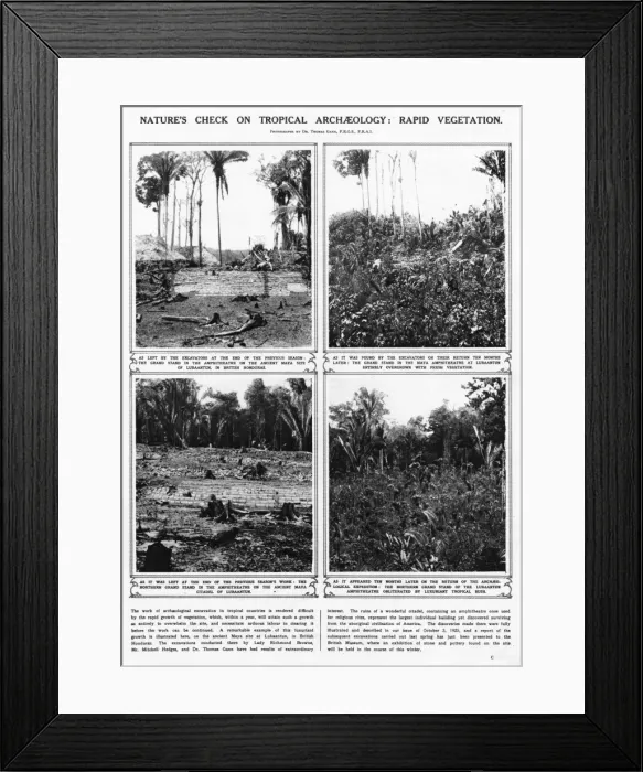 Framed Print : Lubaantun archaeology - rapid tropical growth Framed Print : Lubaantun archaeology - rapid tropical growth