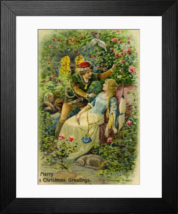 Framed Print : The Sleeping Beauty Framed Print : The Sleeping Beauty