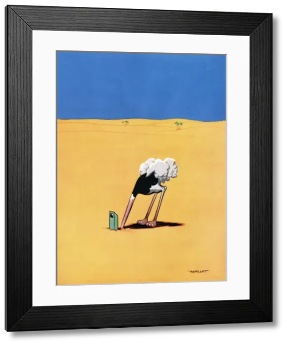 Framed Print : Ostrich by Mallett Framed Print : Ostrich by Mallett