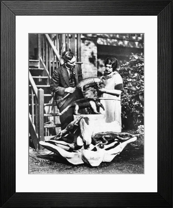 Framed Print : Picture No. 10505210 Framed Print : Picture No. 10505210