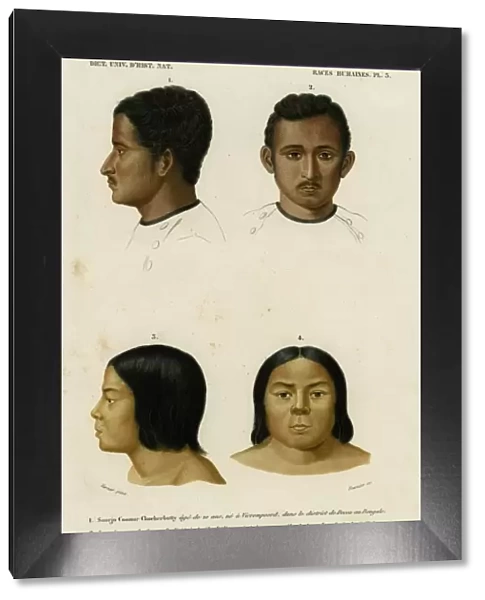 Faces of racial types, Bengali and Ojibwe