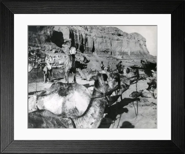 Framed Print : Desert column at El Magdhaba, Egypt, WW1 Framed Print : Desert column at El Magdhaba, Egypt, WW1