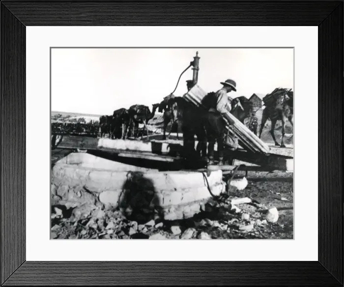 Framed Print : Desert columns at El Magdhaba, Egypt, WW1 Framed Print : Desert columns at El Magdhaba, Egypt, WW1