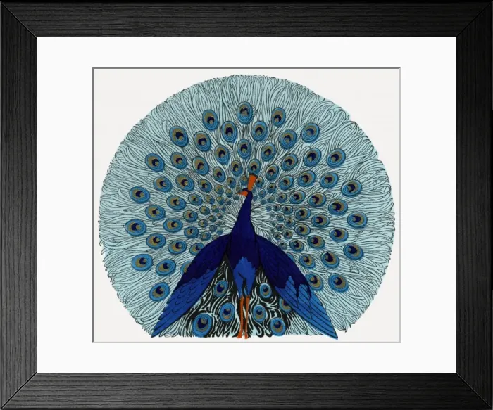 Framed Print : Peacock design in an advertisement for stockings Framed Print : Peacock design in an advertisement for stockings