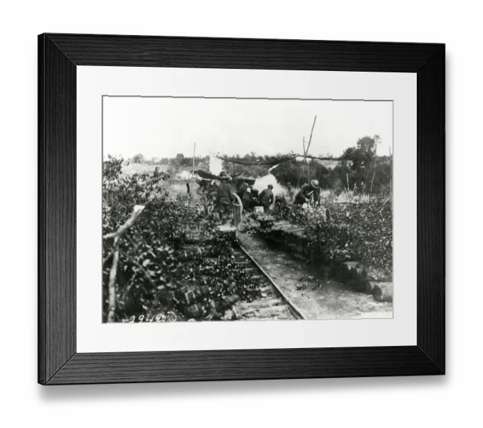 Framed Print : American artillery at Varennes-en-Argonne, France, WW1 Framed Print : American artillery at Varennes-en-Argonne, France, WW1