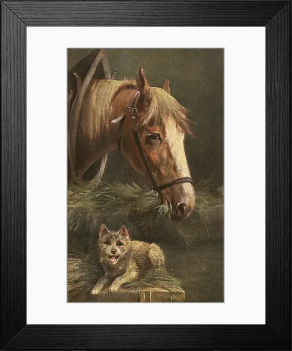 Framed Print : Portrait of a Horse and a young dog Framed Print : Portrait of a Horse and a young dog