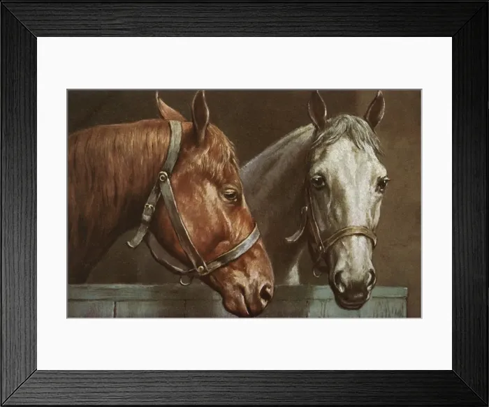 Framed Print : Portrait of two horses Framed Print : Portrait of two horses