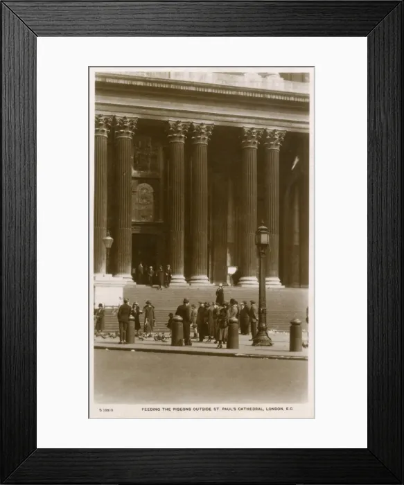 Framed Print : Feeding the pigeons outside St Pauls Cathedral Framed Print : Feeding the pigeons outside St Pauls Cathedral