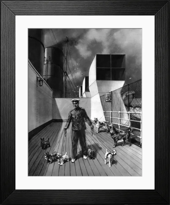 Framed Print : RMS Queen Mary, The Pets Promenade Framed Print : RMS Queen Mary, The Pets Promenade