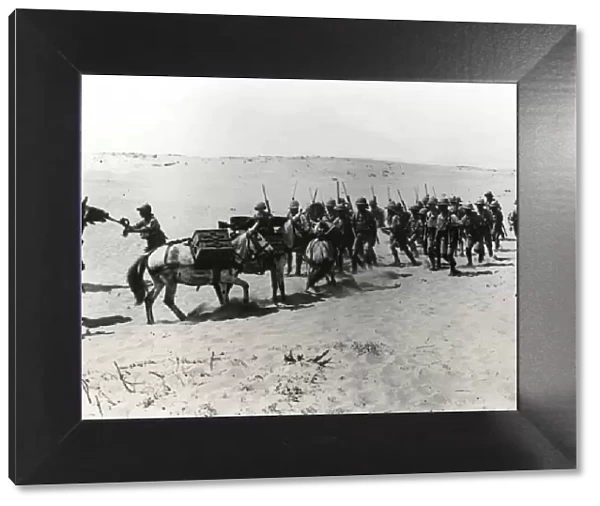 British troops with mules at Arsuf, Middle East, WW1