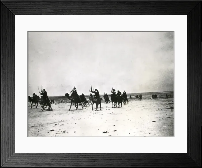 Framed Print : Arabs riding camels in the desert, Palestine, WW1 Framed Print : Arabs riding camels in the desert, Palestine, WW1