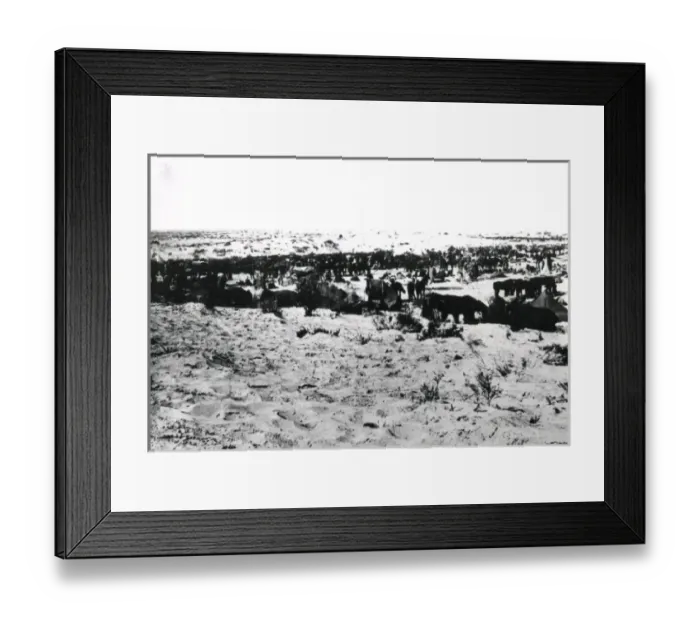 Framed Print : 5th Light Horse Regiment camp near Gaza, WW1