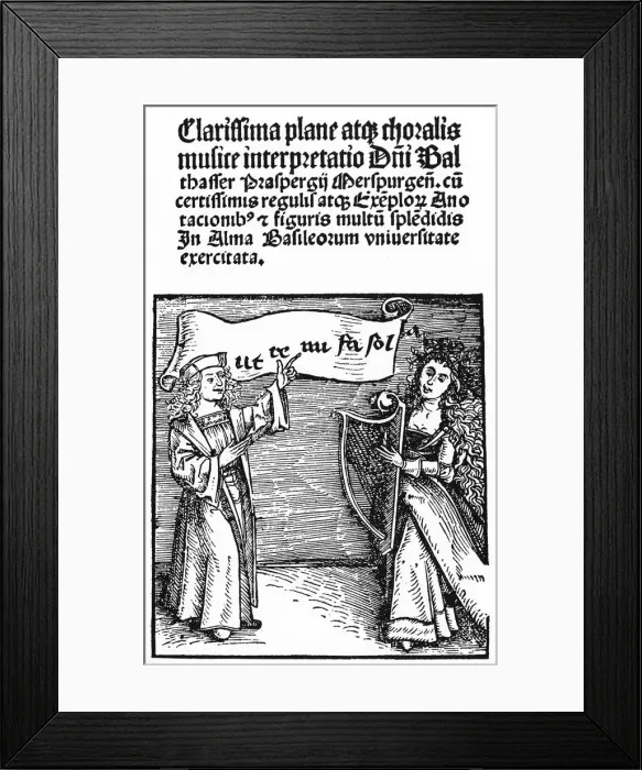 Framed Print : Clarissima Plane by Balthasar Prasberg Framed Print : Clarissima Plane by Balthasar Prasberg