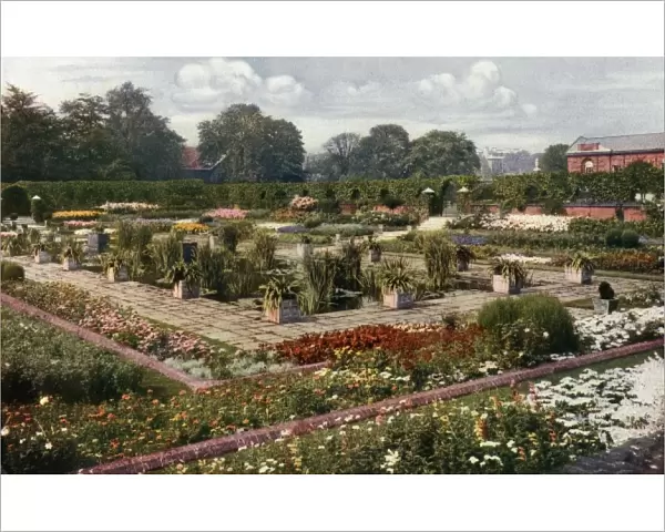 Flower Garden at Kensington Palace, 1911