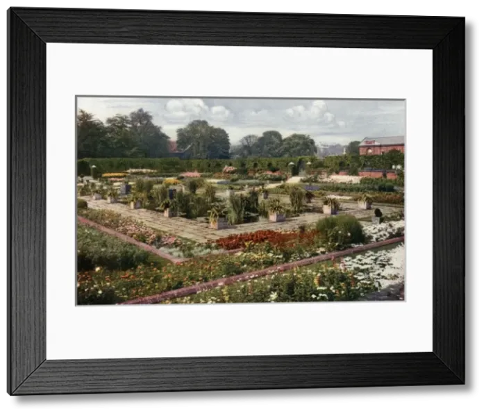 Framed Print : Flower Garden at Kensington Palace, 1911 Framed Print : Flower Garden at Kensington Palace, 1911